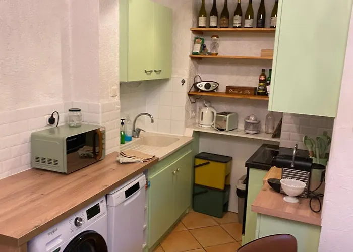 Bords Du Rhone Appartement *